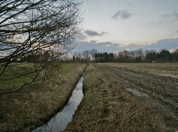 Tocht Te voet Tangstedt - Burgen und Schleusen von Bargfeld-Stegen - Photo