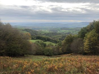 Excursión Bici de montaña Chabanière - Chabaniere génilac  - Photo