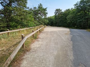 Percorso Marcia Étréchy - Forêt Régionale d'Etréchy - Photo