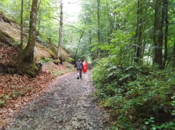 Tour Wandern Sainte-Menehould - la Granges aux Bois complément - Photo