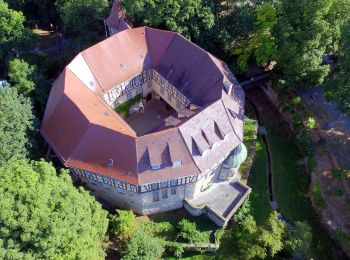 Tour Zu Fuß Besigheim - Roter Punkt Sachsenheim - Besigheim - Photo