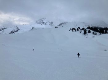 Percorso Racchette da neve Le Grand-Bornand - Le col des ânes  - Photo