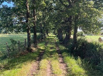 Percorso Marcia Ouches - Ouches-Les Durands - Photo