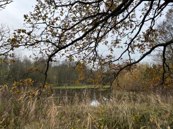 Tour Wandern Knokke-Heist - Balade Zwin - Photo