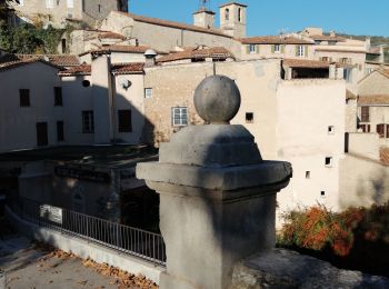 Tocht Stappen Seillans - Seillans Circuit des Pignes  - Photo