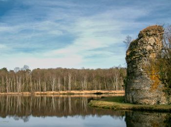 Tocht Stappen Longny les Villages - Longny-au-Perche (Longny-les-Villages) - Tourouvre 22 km - Photo