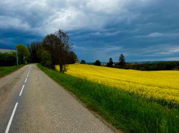 Percorso Bici da strada Pont-Évêque - Pont-Évêque 47km - Photo