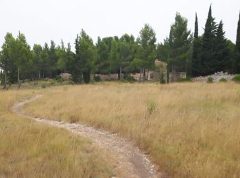 Randonnée V.T.T. Leucate - VTT Leucate La Palme  - Photo