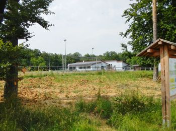 Tour Zu Fuß Unbekannt - Jägerweg Route - Photo