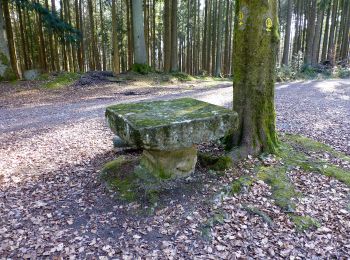 Trail On foot Fürth - Rundwanderweg Wegscheide II 3: Lärmfeuer-Weg - Photo