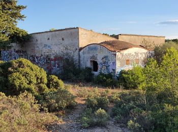 Randonnée Marche Torroella de Montgrí - Antic quartel de les bateries de costa franquistes - Photo