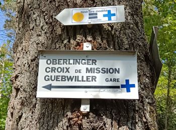 Tocht Stappen Guebwiller - Croix de mission Guewiller (04/05/2023) - Photo