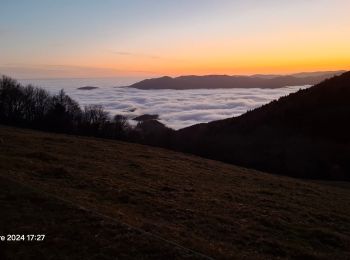 Trail Walking Geishouse - grand bàlon - Photo