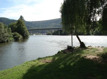 Tour Zu Fuß Großheubach - W gelb, Großheubach Engelberg Rundwanderweg - Photo