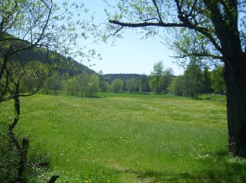 Tour Zu Fuß Lichtenfels - Lichtenfelser Panoramaweg - Photo