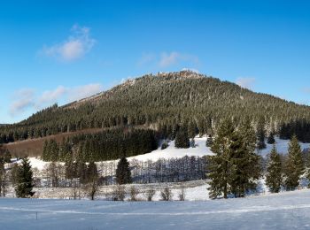 Percorso A piedi Steinbach-Hallenberg - Nr. 5 Rundweg Großer Hermannsberg - Photo