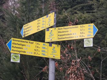 Tocht Te voet Lautenbach - Kappelrodecker Hexensteig - Photo