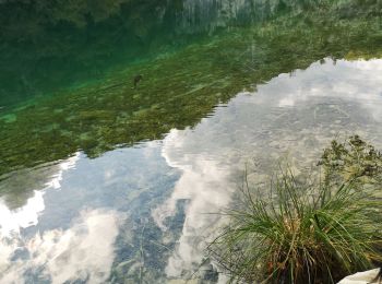 Randonnée Marche  - Lacs de Plitvice  - Photo