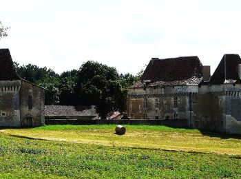 Percorso A piedi Saint-Aquilin - Boucle des Châteaux - Photo