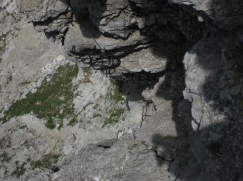 Tocht Te voet Oberstdorf - Mindelheimer Klettersteig - Photo