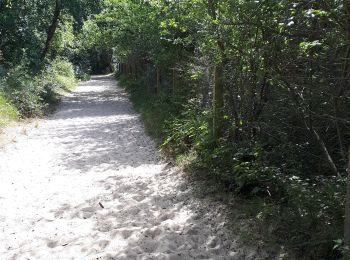 Trail Walking Saint-Quentin-en-Tourmont - chemin du littoral  - Photo