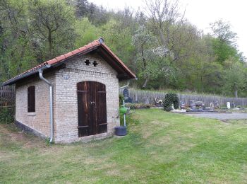 Percorso A piedi Saalfeld/Saale - Bienen und Naturlehrpfad - Photo