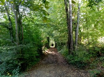 Randonnée Marche Lanquais - Lanquais 12,6km - Photo