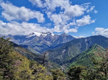 Trail Walking Beaujeu - Sommet Barre des Tremblès (St Pierre) - Photo