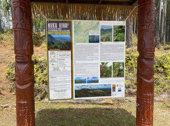 Tour Wandern Nuku Hiva - TOOVII - Photo