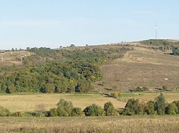 Excursión A pie Szirák - Reformációi Emlékút - Photo