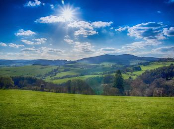 Percorso A piedi Hallenberg - Hallenberger Wanderrausch - Photo