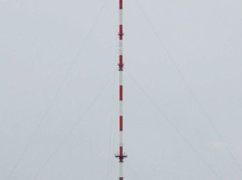 Percorso A piedi Heidenberg - Sagenwanderweg Büchenbachschleife - Photo