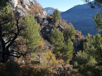 Trail Walking La Roche-sur-le-Buis - la montagne de gravas - Photo