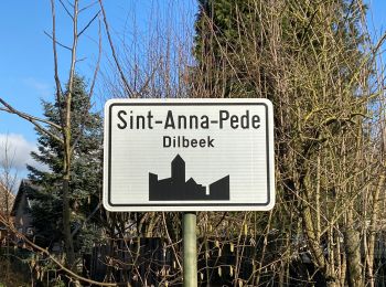 Trail Walking Dilbeek - Breugelwandelpad - Photo