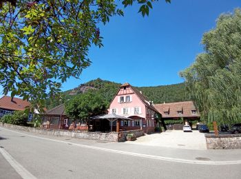 Randonnée Marche Obersteinbach - obersteinbach 7km - Photo
