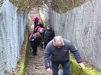 Randonnée Marche Besançon - Brégille, Beauregard  - Photo