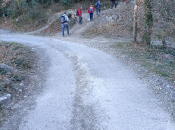 Trail Walking Pernes-les-Fontaines - pernes la roque - Photo