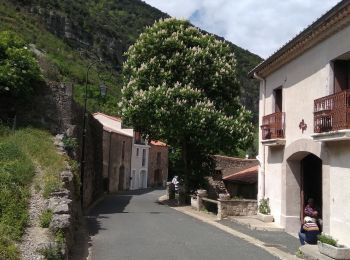 Tour Wandern Pégairolles-de-l'Escalette - pegairolles Larzac  - Photo