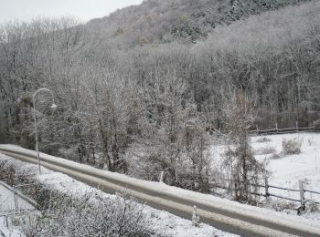 Excursión A pie Gemeinde Klosterneuburg - Klosterneuburg - Hinterweidling - Photo