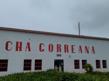 Excursión Senderismo Maia - Chà Gorreana - Photo