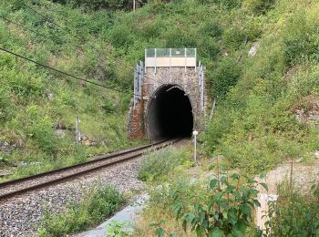 Randonnée A pied Le Poizat-Lalleyriat - Sentier des Ecureuils - Photo