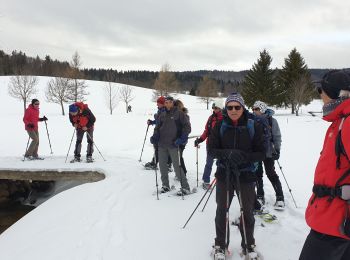 Trail Snowshoes Les Rousses - lac gèle des Rousses - Photo
