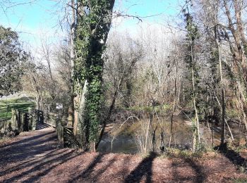 Tocht Stappen Martignas-sur-Jalle - Martignas sur Jalles - Photo