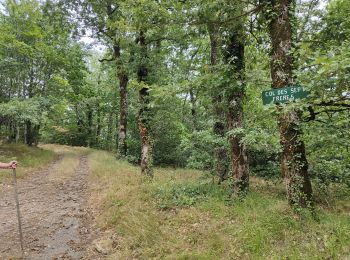 Randonnée Marche Riols - sentier des légendes et tour du lac  - Photo