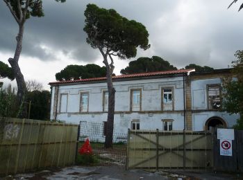 Percorso A piedi Livorno - Puntone - Photo