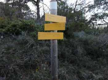 Excursión Senderismo Grane - Bois de Lagier- Loriol- Petit tour du Serre Avolas - Photo