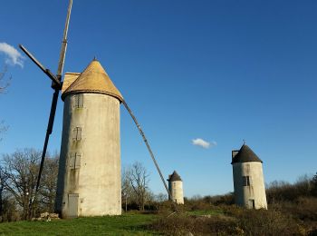 Randonnée Marche Mouilleron-Saint-Germain - Les moulins de Mouilleron  - Photo
