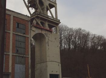 Tour Zu Fuß Sankt Avold - 3 Circuit du Chene des Sorcières - Photo