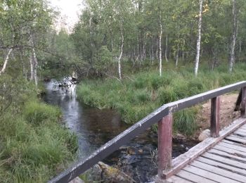 Trail Walking Inari - Finlande-saariselka-3_5km - Photo
