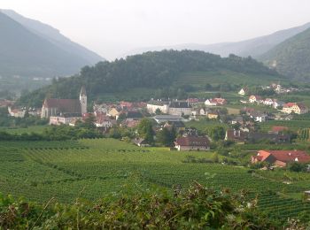 Randonnée A pied Gemeinde Weißenkirchen in der Wachau - Welterbesteig Wachau Etappe 3 - Photo